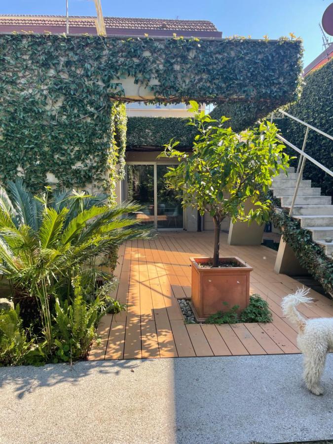 Joey Apartamento Pietrasanta Exterior foto